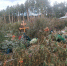 Устроили помойку на могилах! - SysertNews.Ru