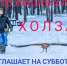 "Холзан" приглашает на субботник - SysertNews.Ru
