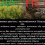 Будут ли на Думе 30 ноября принимать новый Генплан? - SysertNews.Ru