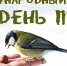 день птиц - Районная библиотека