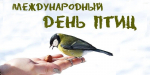 день птиц