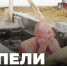 Куда идти купаться? - SysertNews.Ru